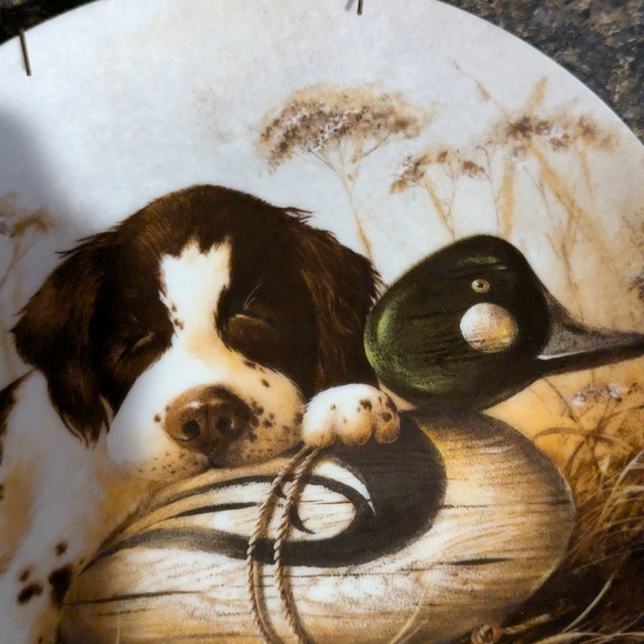 Knowles 1987 Limited edition Dog Tired - The Springer Spaniel Lynn Katz artwork - Picture 5 of 5